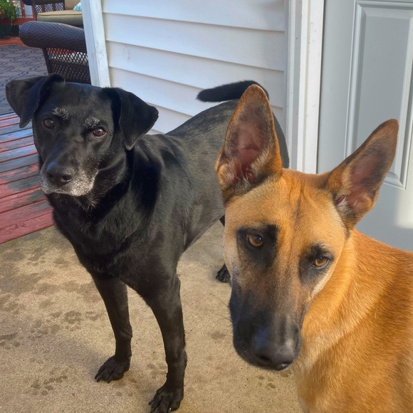 Meet your Posher, Dawn - Picture 1 of 1